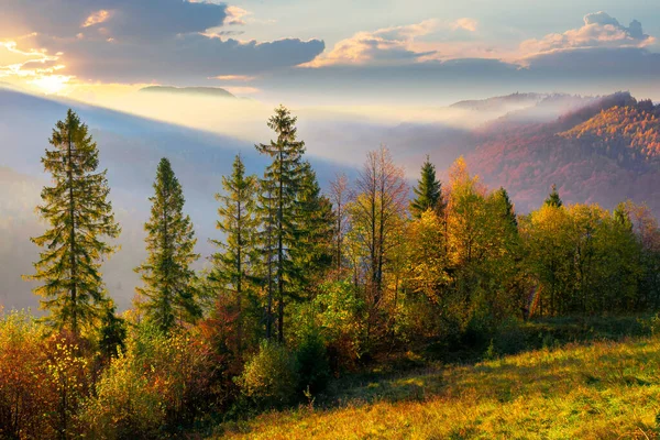 Skog Dimmig Morgon Bergen Höst Dimmig Soluppgång Bakgrund — Stockfoto