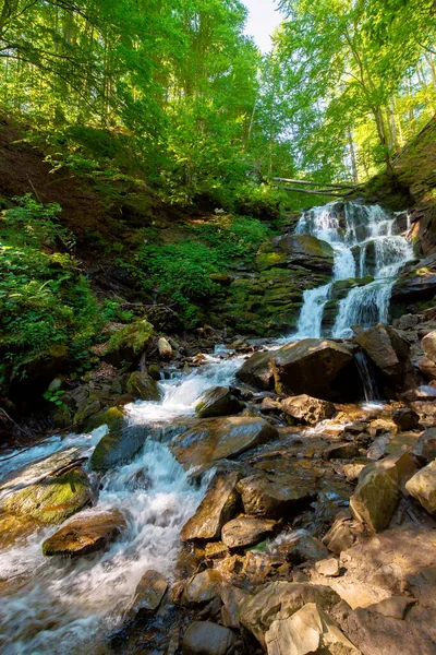 喀尔巴阡山瀑布灰锅在早上 美丽的自然景观 热门旅游景点 — 图库照片
