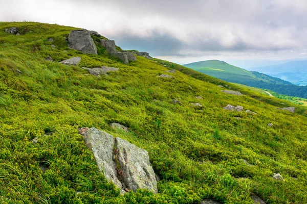 Nádherná Horská Krajina Létě Krása Přírody Zelené Modré Louky Zvlněných — Stock fotografie