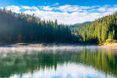 Sisli gündoğumunda göl manzarası. Suya yansıyan sisli manzara. Sonbahar mevsiminde harika bir sonbahar sabahı. Rengarenk ağaçlar,