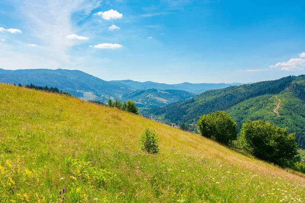 Prado Montaña Herbácea Verano Paisaje Idílico Día Soleado Paisaje Rodando —  Fotos de Stock