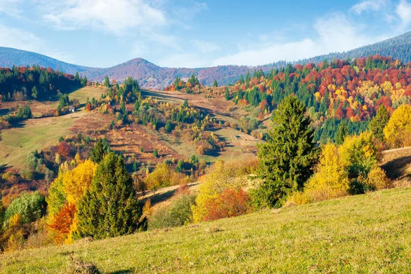 Bergige Landschaft Herbst Landschaft Mit Wäldern Herbstfarben Und Wiesen Abendlicht — Stockfoto