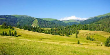 Yaz mevsiminde kırsal alan. Tarlalardaki ve tepelerdeki ağaçlar sabah ışığında yeşil çimlerle kaplı. Uzaktaki dağ sırtı