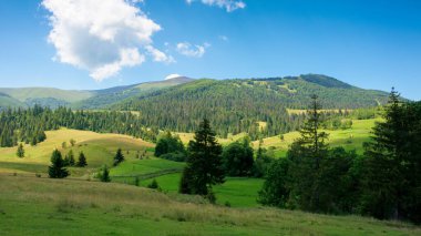 Kırsal Vadi 'nin yaz manzarası. Sabahları güzel panoramik kırlar. Bulutlar dağ sırtında oturuyor. Güzel güneşli hava.