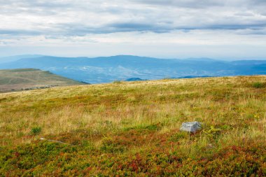 Yıpranmış çimenlerdeki çayır. Sonbaharda sakin bir dağ manzarası. Tepedeki taş. bulutlu hava