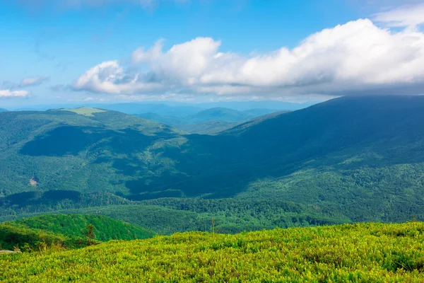 Prachtig Berglandschap Zomer Schoonheid Van Natuur Groen Blauw Weiden Glooiende — Stockfoto