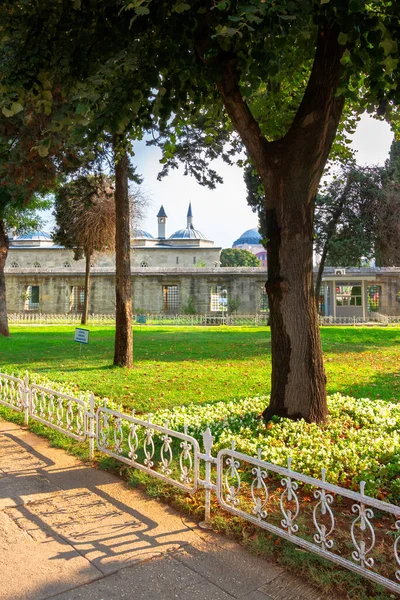 Istanbul Krůty Aug 2015 Park Území Modré Mešity Krásná Scenérie — Stock fotografie