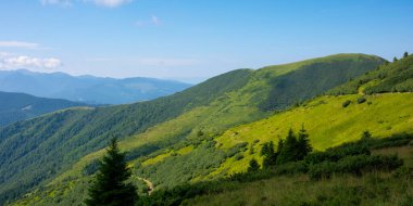 Yaz dağı manzarası. Yeşil tepeler uzaklardan geliyor. Vadinin üstündeki mavi gökyüzünde kabarık bulutlar. Parlak güneşli bir gün