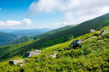 Çimenli alp çayırındaki kayalıklı çayır. Yazın güneşli ve harika bir günde dağ manzarası. Uzaktaki tepenin üstündeki mavi gökyüzünde bulutlar