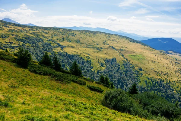 喀尔巴阡山脉的山丘和山谷 草坡上的树木和灌木 阳光灿烂的日子里美丽的风景 蓝天上的云彩 — 图库照片
