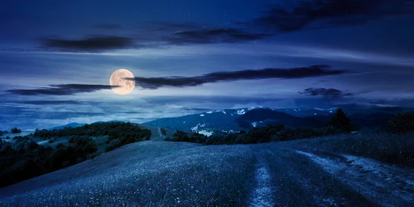 Caminho Através Prado Montanha Noite Misteriosa Paisagem Verão Campo Dos — Fotografia de Stock