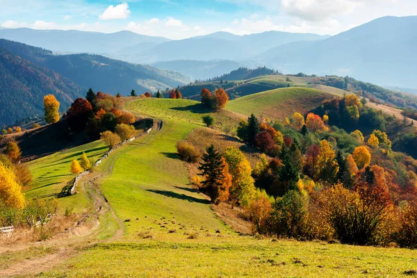 秋天的山地乡村风景 起伏的山丘上的田野 沿着小路的栅栏 在五彩缤纷的树叶中的树 美妙的下午风景 光彩夺目 — 图库照片