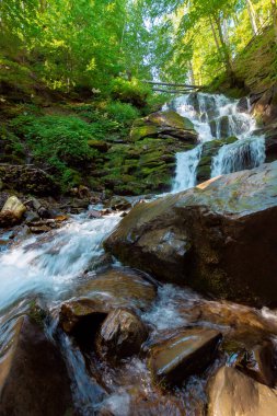 Ormana büyük su düşüyor. Güzel doğa manzarası. Kayaların arasındaki nehir. Taze yaz manzarası. Shypot pitpet köyü, transcarpathia bölgesi, Ukrayna 'nın popüler bir turistik merkezidir.
