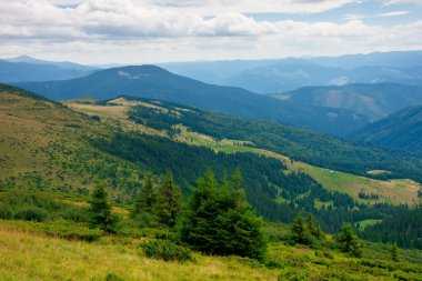 Dağlardaki vadinin yaz manzarası. Tepelerde ağaçlar ve yeşil çayırlar. Uzakta siyah bir sırt var. Karpatların güzel doğası. bulutlu gökyüzü