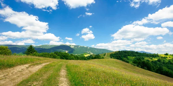 山の牧草地を抜ける道 カルパチア地方の晴れた夏の風景 青い空に白いふわふわの雲 — ストック写真