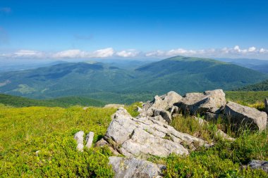 Yaz manzarasında bir dağ çayırı. Kabarık bulutlu mavi gökyüzü. Güneşli bir günde güzel bir yaz manzarası. Çimlerin arasındaki yamaçta kayalar. uzaklığa bak