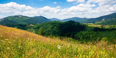 Güneşli bir günde dağlarda otlak. Karpatların muhteşem kırsal manzarası. Gökyüzünde kabarık bulutlar