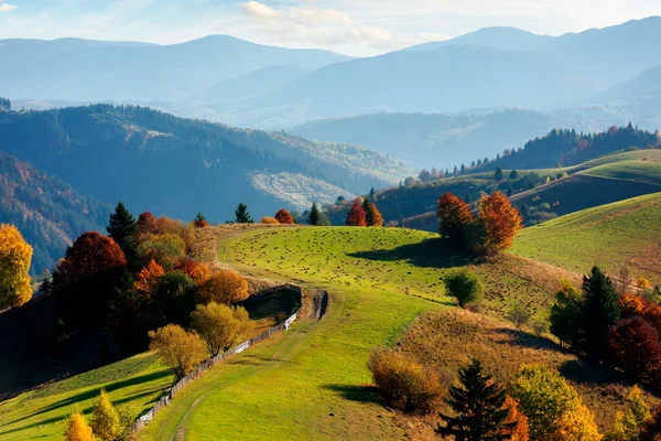 Bergslandskap Hösten Fält Böljande Kullar Stängsel Längs Stigen Träd Färgglada — Stockfoto