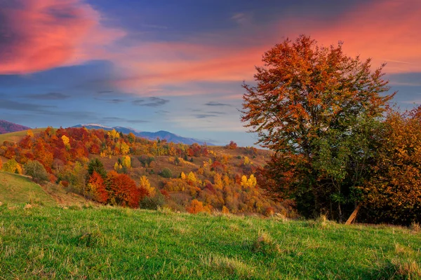 Paysage Rural Automnal Crépuscule Belle Campagne Montagne Arbres Dans Feuillage — Photo