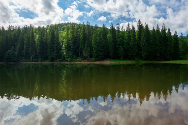 群山环绕湖面的风景 海岸上的云杉森林倒映在水里 蓝天上有云彩 — 图库照片
