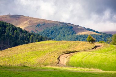 Güneşli bir günde dağlarda çimenli bir çayır. benekli ışıkta güzel kırsal alan. Bulutlu gökyüzü