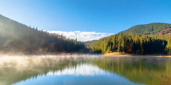 Seenlandschaft Bei Nebligem Sonnenaufgang Nebelschwaden Spiegeln Sich Wasser Wunderschöner Herbstmorgen — Stockfoto