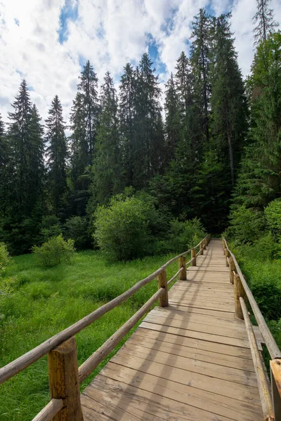 Holzbrücke Über Dem Bach Zwischen Den Bäumen Gehweg Durch Wald — Stockfoto