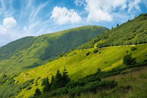 Caminho Através Pastoso Prado Alpino Montanha Bela Paisagem Cárpatos Nuvens — Fotografia de Stock