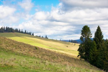 Güneşli bir günde dağlarda çimenli bir çayır. benekli ışıkta güzel kırsal alan. Bulutlu gökyüzü