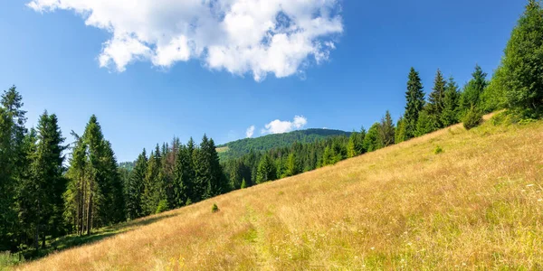 Grasbewachsene Wiesen Bergiger Landschaft Sommer Idyllische Berglandschaft Einem Sonnigen Tag — Stockfoto