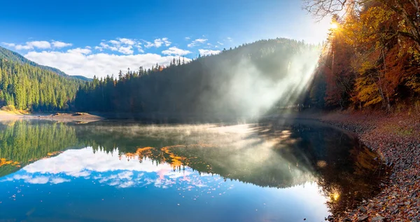 霧の多い日の出の湖の風景 水面に映る霧の風景 秋の素晴らしい秋の朝 カラフルな葉の木 — ストック写真