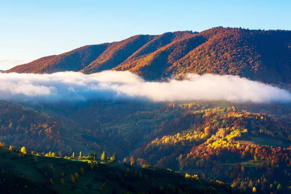 秋天的落日在山上 树顶在雾中摇曳着穿过小山 神秘的自然景观 — 图库照片