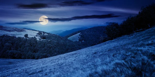 夜の山の風景 満月の光の中で乾いた草の上の木 遠くの尾根だ 丘の上のブナ林 空の雲 — ストック写真