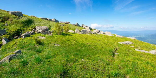 Yaz manzarasında bir dağ çayırı. Kabarık bulutlu mavi gökyüzü. Güneşli bir günde güzel bir yaz manzarası. Çimlerin arasındaki yamaçta kayalar. uzaklığa bak