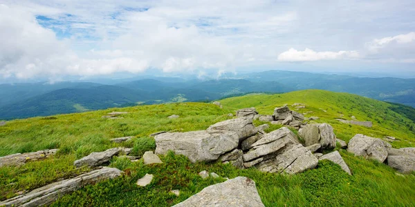 Paisagem Verão Montanha Atum Colinas Gramíneas Prado Alpino Polonína Belo — Fotografia de Stock