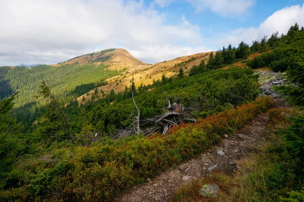 stock image peak of the mountain strymba. carpathian landscape in autumn. path uphill. colorful scenery. clouds on the sky. sunny weather.