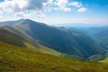 Mavi gökyüzünün altında bulutlu tepeler ve çayırlar. Mavi gökyüzünün altında bulutlu tepeler ve çayırlar. Yazın sonlarında güneşli bir günde dağ manzarası. Ağustosta güzel bir manzara.