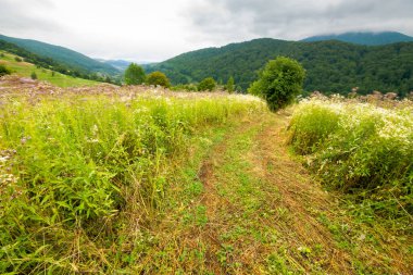 Kırsal alandan geçen köy yolu. Banliyö yaz manzarası dağlarda. Uzak vadideki köy. bulutlu gün