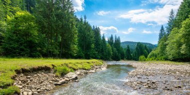 Vadideki ormanın içindeki dağ nehri. Güneşli yaz manzarası. Sahilde yeşil çimenler ve kayalar. Mavi gökyüzünde beyaz bulutlar