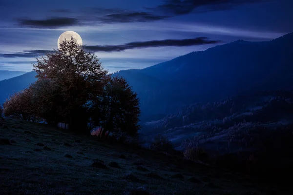 秋の田園風景の夜 山の中の美しい田舎 緑の丘陵の紅葉の木 遠くの尾根の上の劇的な雲 — ストック写真