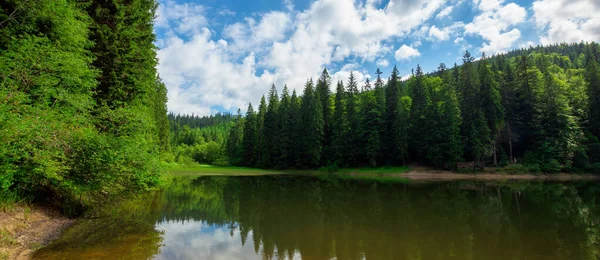 Paisagem Torno Lago Montanhas Floresta Abetos Costa Reflexão Água Tempo — Fotografia de Stock