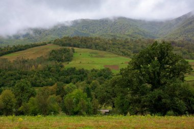Dağların kırsal kesiminde. Sisli bir Eylül sabahı. Tepelerdeki boş tarlalar. bulutlu gökyüzü