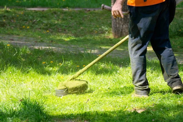 Rasenpflege Mit Freischneider Arbeiten Mit Professionellem Gartenwerkzeug Park Rasenmähen Einem — Stockfoto