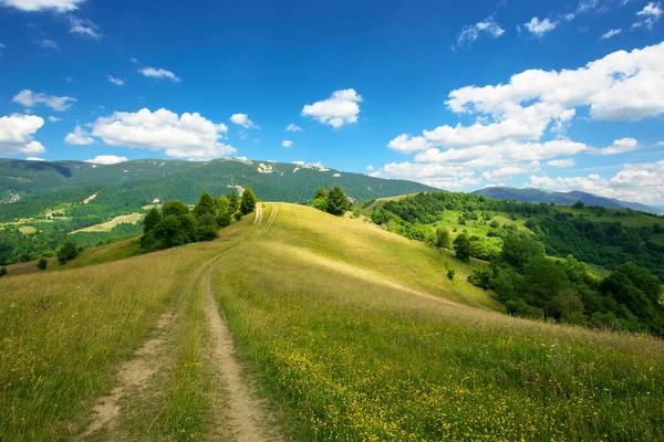 Ländliche Landschaft Einem Sommertag Feldweg Den Wiesen Und Sanften Hügeln — Stockfoto