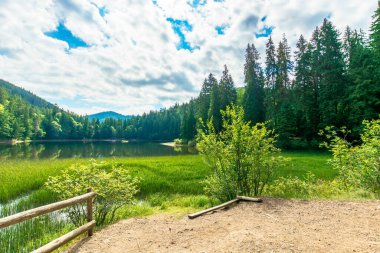 Dağlardaki göl manzarası. Kıyıdaki ladin ormanı. Sudaki yansıma. Mavi gökyüzünde bulutlarla güneşli bir hava