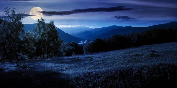 夜になると山の牧草地に木が生えています 満月の光の中で美しい景色 空の雲 遠くに尾根があり — ストック写真