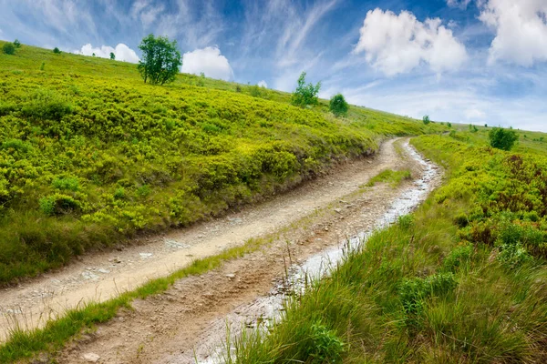 Mountain Road Grassy Meadow Wonderful Summer Adventure Clouds Blue Sky — Stock Photo, Image