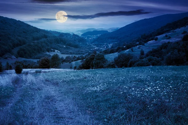 田舎道を夜に通ってる 満月の山の中の郊外の夏の風景 遠くの谷の村 曇りの日 — ストック写真