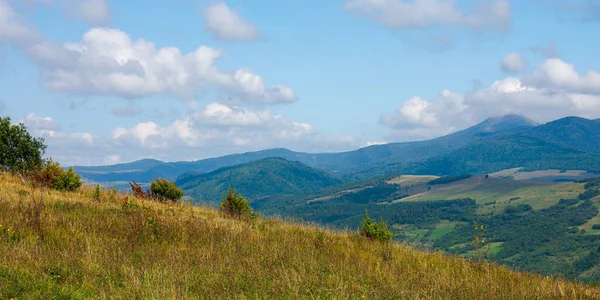 Campo Los Cárpatos Septiembre Paisaje Montaña Día Soleado Árboles Prado — Foto de Stock