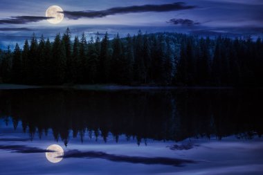 Geceleri dağlarda göl manzarası. Kıyıdaki ladin ormanı. Dolunay ışığında suda yansıma. Gökyüzünde bulutlar olan hava